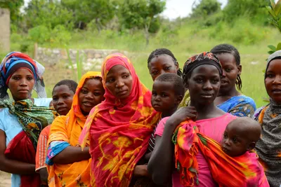 DSC_9452 (Large).JPG